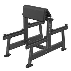 ARM CURL BENCH