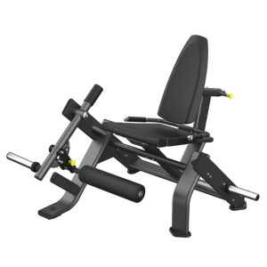 LEG EXTENSION