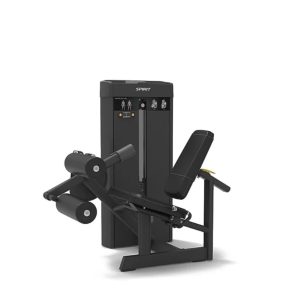 LEG EXTENSION