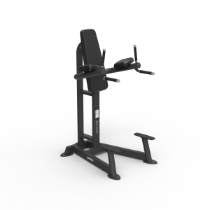 LEG RAISE / DIP