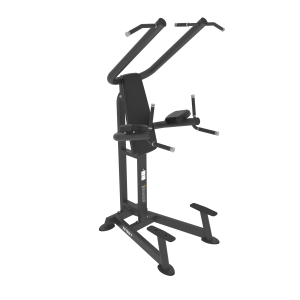 CHIN / DIP / LEG RAISE