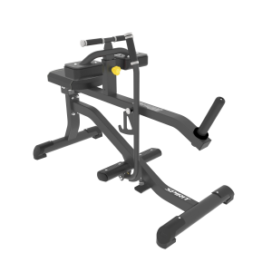 SEATED CALF
